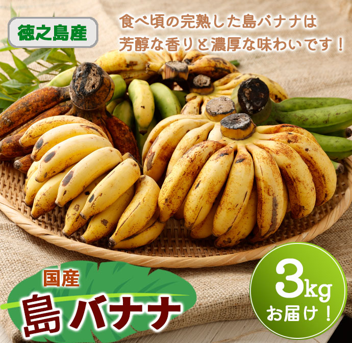 【鹿児島県天城町】【2026年発送】徳之島子宝バナナ 3kg 島バナナ バナナ  AL-10-N マイナビ