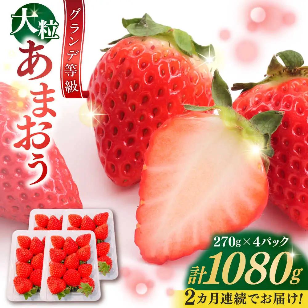 【全2回定期便】あまおう いちご 1080g[BGBQ003]