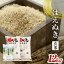 【ふるさと納税】≪新米≫ はえぬき 玄米 計12kg 5kg×2袋 2kg×1袋 令和6年産 山形県酒田産 東北 山形県 酒田市 庄内地方 庄内平野 庄内米 お米 ごはん ご飯 小分け