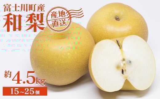 【2025年発送分】フルーツ王国やまなし《人気品種》和梨 15～25玉（約4.5kg）幸水 豊水 秋月  ※8月上旬以降発送予定 梨 なし くだもの 果物 フルーツ 山梨 やまなし 産地直送 先行予約