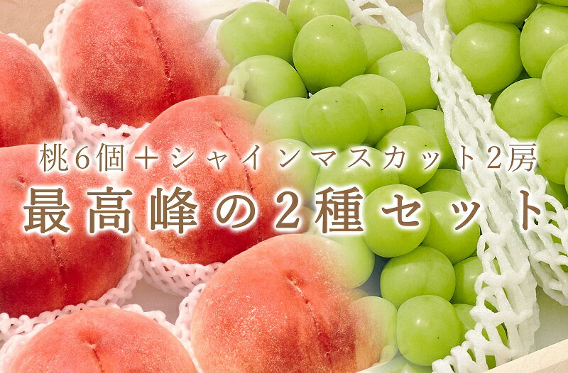 【ふるさと納税】 フルーツ 定期便 2回 桃 6個 約2.7kg シャインマスカット 2房 約1.3kg 果物 ぶどう 葡萄 くだもの 2025年発送 大玉 大粒 数量限定 期間限定 7月 8月 9月 発送 自然農法 甲州市 山梨 社員マスカット （BNC） 【E9-101】