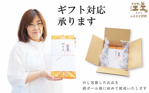 五勝手屋本舗『詰合せ羊羹』（E）流し羊羹4本／ミニ流し羊羹6本／丸缶羊羹6本／ミニ丸缶羊羹4本　金時豆のようかん　保存料不使用　五勝手屋羊羹の老舗　和菓子　銘菓　名物　贈答用　ギフト　お中元　お歳暮　