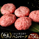 【ふるさと納税】くまもと黒毛和牛100％ 和王ハンバーグ 150g×5パック 合計750g 黒毛和牛 九州産 国産 熊本県産 牛肉 お肉 焼くだけ セット 惣菜 おかず お取り寄せ グルメ 冷凍 送料無料