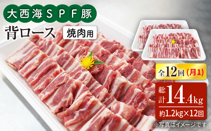 【月1回約1.2kg×12回定期便】大西海SPF豚 背ロース（焼肉用） 訳あり ＜大西海ファーム＞ [CEK128]