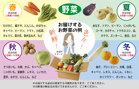 099S016 主婦が選んだ まんぷく セット（牛肉 ハラミ 銀鮭 切り身 たまご 野菜）【別送】