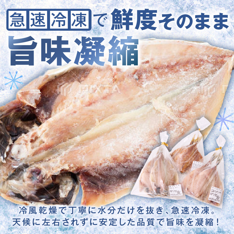 松浦・潮風のたより Ｂｉｇ(イカなし＆サバ増量) ( 松浦市 アジ サバ カマス レンコダイ 干物 アジ開き サバフィレ 一夜干し 詰め合わせ )【B5-129】