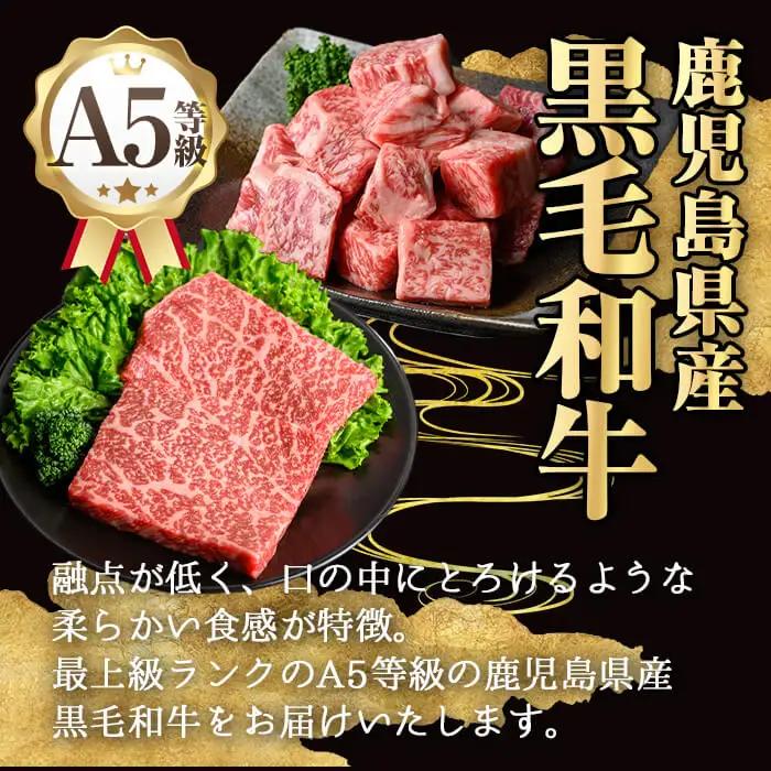 鹿児島県産 A5 黒毛和牛 極厚 シャトーブリアン (計300g・300g×1枚) 【KNOT】 D53