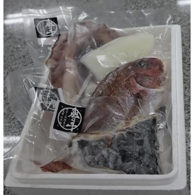 ふるさと納税 笠岡市 魚々干　今日の漁りセット(Bセット)　A-136