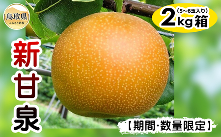 梨(新甘泉)【期間･数量限定】_T2600262