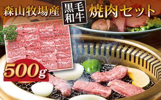 きめ細かく柔らかい肉質 黒毛和牛 焼肉セット 500g 焼肉用 肩ロース モモ バラ 和牛 牛肉 | 森山牧場 焼肉セット500g 焼肉 焼き肉 _b-444