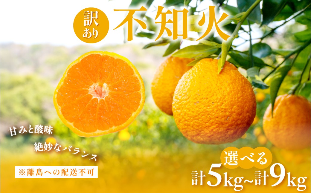 
                  【先行予約】訳あり 不知火 計5kg / 計10kg ※離島への配送不可（2027年2月中旬頃より順次発送予定）  【柑橘 みかん ミカン フルーツ 果物 でこぽん デコポンと同品種 愛媛】 IKTAC030 
                