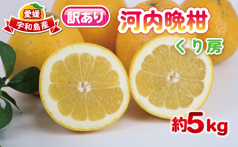 訳あり 河内晩柑 約 5kg くり房 晩柑 かわちばんかん 和製 グレープフルーツ 訳アリ 訳あり品 愛媛みかん 愛媛蜜柑 愛媛県産みかん 蜜柑 みかん mikan 爽やか さっぱり フレッシュ 果物
