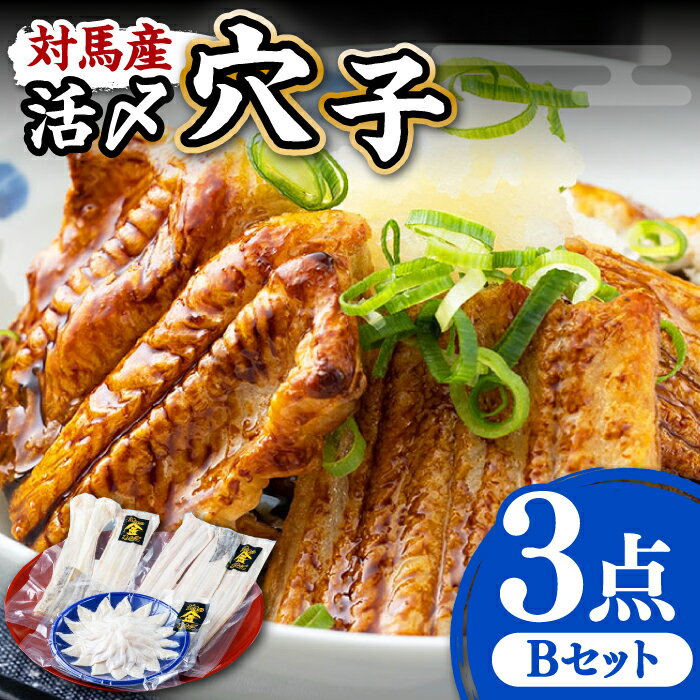 【ふるさと納税】対馬産 活〆 穴子 3点 セット 2人前【THE・対馬株式会社】《対馬市》新鮮 あなご 刺身 天ぷら 海鮮 肉厚 簡単調理 二人前[WAS002] 17000 17000円