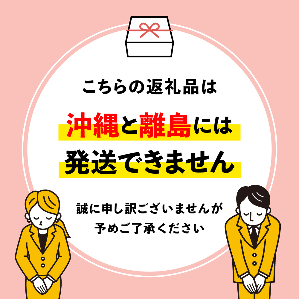 ★ZIP「旅するエプロン」で紹介されました★ゼリーのイエ ゼリー12個詰め合わせセット | カラフル 菓子 おかし スイーツ デザート 食品 人気 おすすめ | ZR001