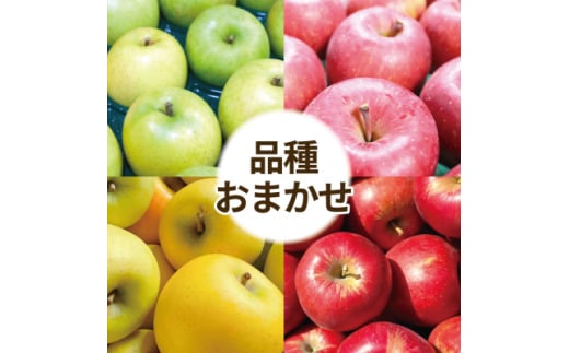＜25年10月出荷予定＞りんご 品種おまかせ 約3kg 訳あり【1612937】