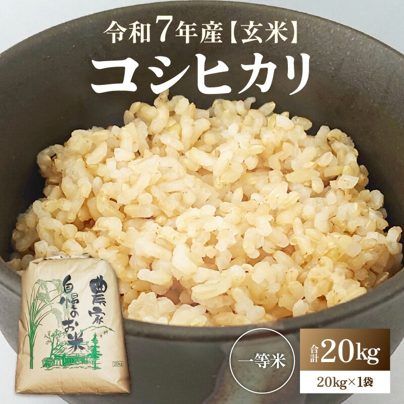 【ふるさと納税】【先行予約】【令和7年産・新米】コシヒカリ 玄米 20kg / 米 お米 こめ 玄米 一等米 こしひかり コシヒカリ あわら市産 新米 コスパ ※2025年9月下旬より順次発送予定