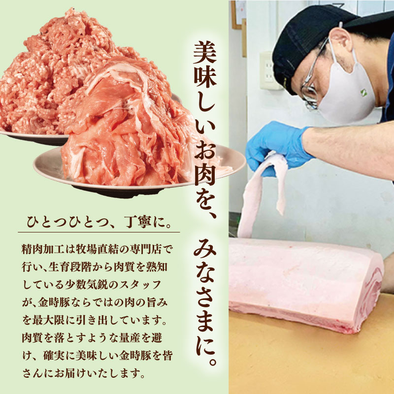 阿波の金時豚 豚肉 切り落とし 定期便 3回 1kg (500g×2) ブランド豚 金時豚 小分け 真空パック 冷凍 国産 赤身 ウデ モモ 生姜焼き 野菜炒め 豚汁 豚丼 中華炒め 豚こま 鍋 ポー