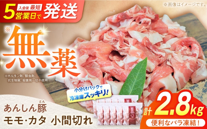 
            《バラ凍結》 モモ・カタ 小間切れ 2.8kg （280g×10袋） 豚肉 小分け 薄切り 豚こま 白川町 / 藤井ファーム [AWAF029]
          