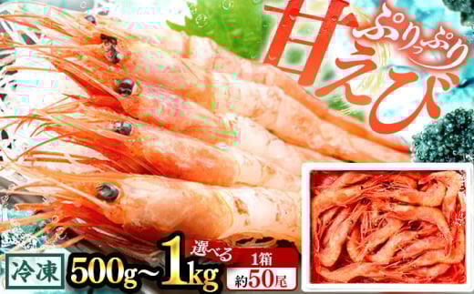 日本海 甘えび 500g (約50尾)×2箱 / エビ 甘エビ えび エビ 福井県 小浜市 / 小浜海産物 【配送不可地域：北海道・沖縄・離島】 [BFAA083]