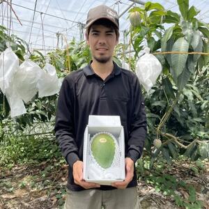 【先行受付・2026年8月から順次発送・家庭用】仲本マンゴー園の幻のキーツマンゴー1kg(1～2玉)【配送不可地域：離島】【1694611】