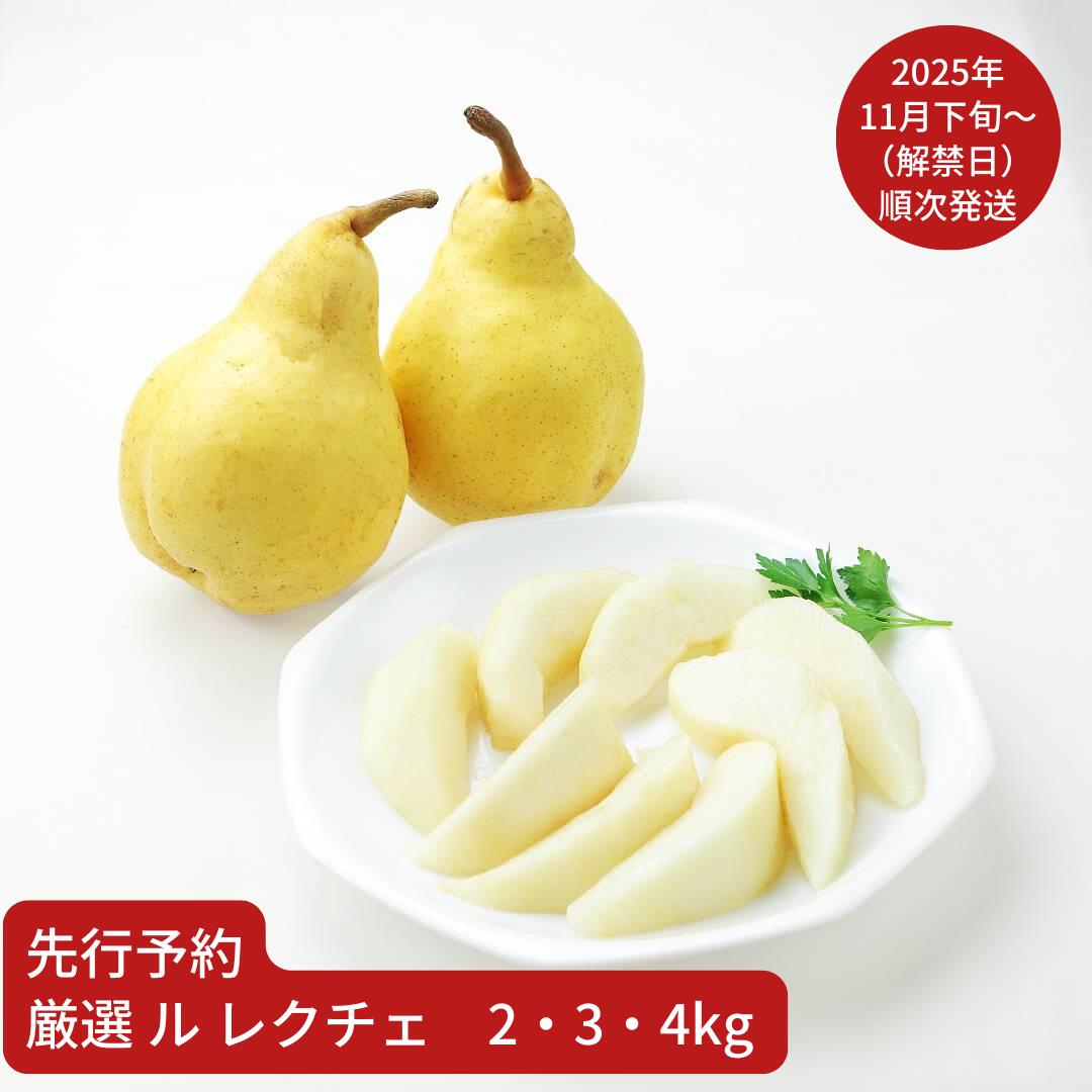 【ふるさと納税】先行予約 ル レクチェ 厳選 約2・3・4kg 令和7年産 ル・レクチェ 新潟県産 洋梨 [小野里果樹園]