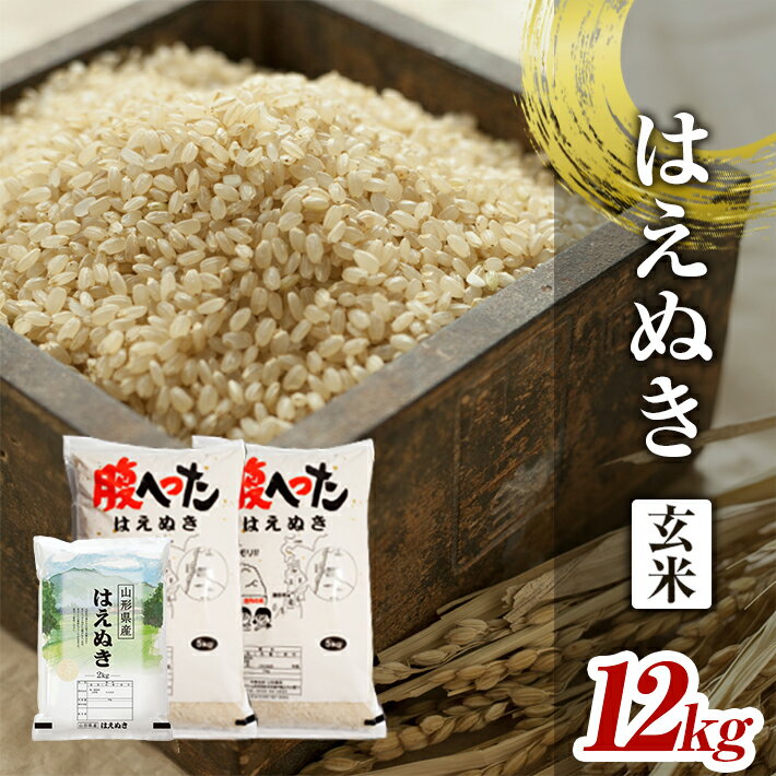 【ふるさと納税】はえぬき 玄米 計12kg 5kg×2袋 2kg×1袋 令和7年産 山形県酒田産 東北 山形県 酒田市 庄内地方 庄内平野 庄内米 お米 ごはん ご飯 小分け