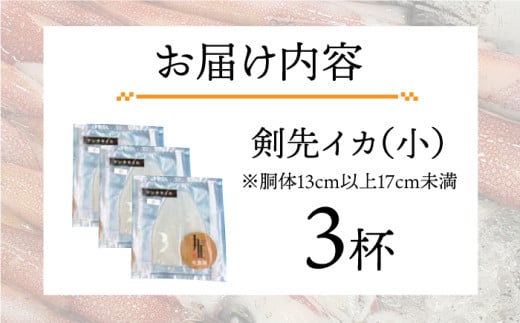 剣先イカ 刺身 （小） 3杯 《壱岐市》【株式会社マルショウ】 いか イカ 剣先いか セット おつまみ [JEW002] 12000 12000円 のし ギフト