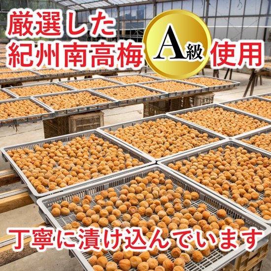 L058　有田みかん蜂蜜梅　７００ｇ