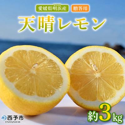 ふるさと納税 西予市 天晴レモン　贈答用　約3kg　れもん　愛媛　果物