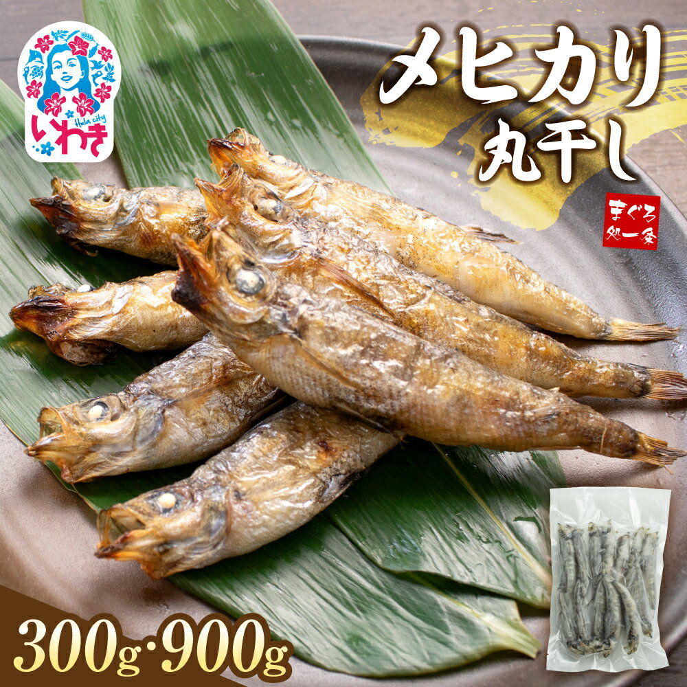 【ふるさと納税】メヒカリ丸干し 300g/900g 脂のり抜群 白身魚 海鮮 干物 おつまみ 焼くだけ簡単 人気