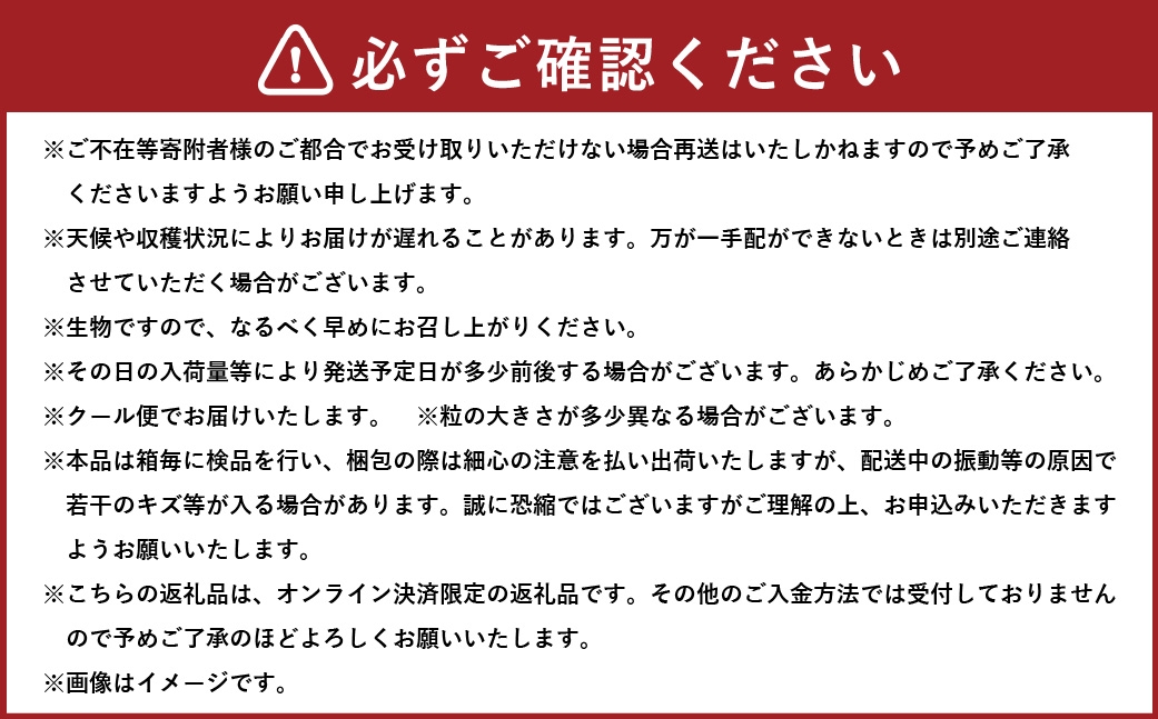 【2026年6月下旬～7月下旬発送予定】岡山県産 マスカット･オブ･アレキサンドリア 約600g（約600g×1房）