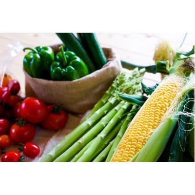 ふるさと納税 北広島市 【毎月定期便】おまかせ旬野菜セット　10〜12種類全6回 |  | 01