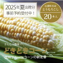 【ふるさと納税】『きたむら農園のどきどきコーン』×20本セット（約8.2kg相当）2025年夏の予約受付開始！ 信濃町名産 朝採れとうもろこし／スイートコーンの定番品種、現在出荷中！