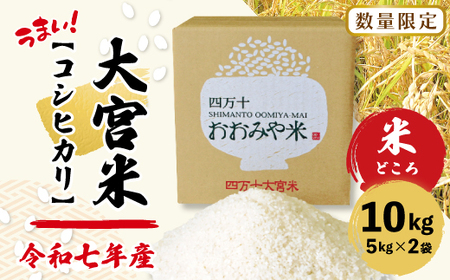 【令和7年産 数量限定】 四万十 の 米どころ 山間地域で育てた 大宮米 コシヒカリ 10kg 高知県 高知 しまんと 国産 お米 米 白米 精米 こしひかり 低農薬栽培 ご飯 産地直送 26-305