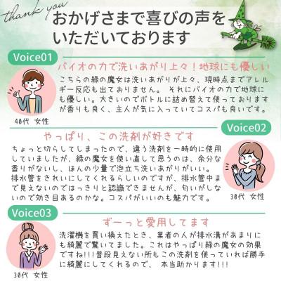 ふるさと納税 龍ケ崎市 迷ったらこれ　ふるさと納税専門誌掲載品　世界で一つだけの機能を持つ洗剤　緑の魔女ランドリー5L×3 |  | 03