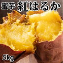 【ふるさと納税】紅はるか 秀品 約5kg べにはるか さつまいも 芋 野菜 益城町産 熊本県産 九州産 送料無料