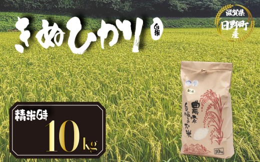 【 令和8年産 米 10kg 】 きぬひかり 米 白米 国産 滋賀県 日野町 農家直送 お米 おこめ こめ 産地直送 ふるさと納税