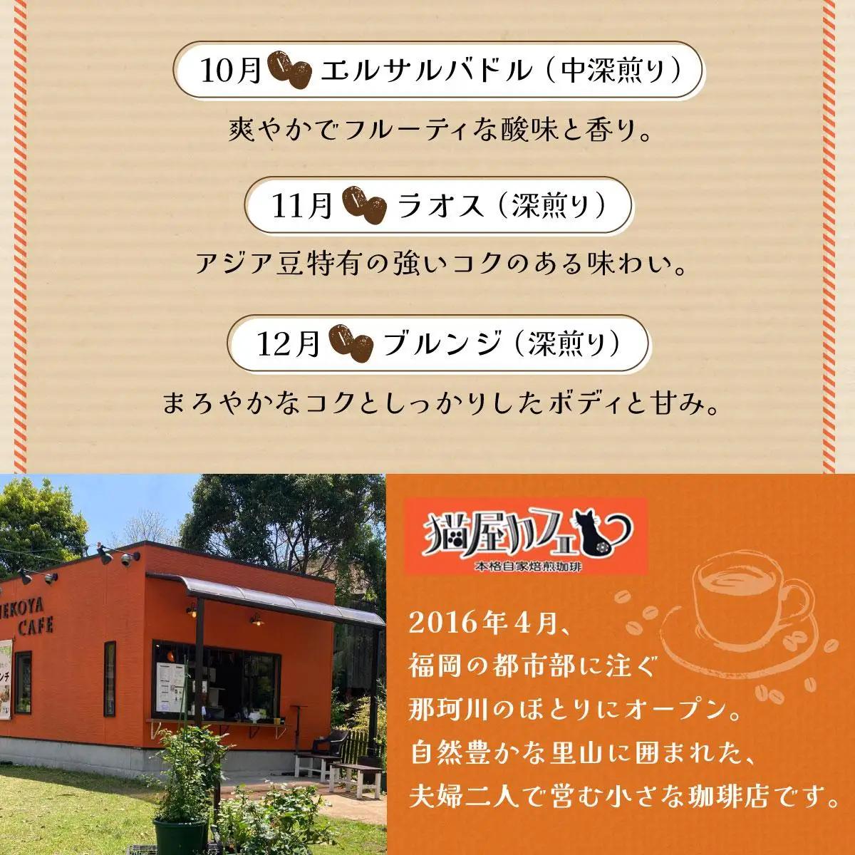  ＜定期便・全12回＞世界を夢見るコーヒー【粉】500g|コーヒー粉 珈琲 詰め合わせ 飲み比べ セット 深煎り 中入り 浅煎り アフターミックス製法 猫屋カフェ 送料無料 福岡県 那珂川市