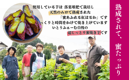 農家自家製 蜜 あふれる 紅はるか 冷凍焼き芋 5～7本 (約1.5kg) | 埼玉県 北本市 石焼き芋 いしやきいも ヤキイモ 焼きイモ さつまいも サツマイモ さつま芋 ねっとり しっとり 真空パ