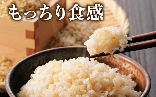【定期便・新米8年産】玄米 特Aランク 特別栽培米 コシヒカリ5kg（全3回） 兵庫県 丹波篠山市 白米 100％単一原料米 産地直送米 おいしい お米 玄米 コシヒカリ ブランド おこめ 健康 送料