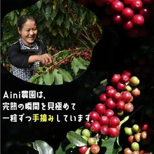 【100g×3袋】雲南コーヒー 焙煎度 3種 飲み比べ ＆ オリジナルブレンド作成キット コーヒー コーヒー豆 豆 珈琲 飲み物 飲料 飲み比べ 東京 豊島区