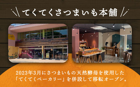 【全12回定期便】濃厚なさつまいもの甘み !  てくてくのさつまいもたると ホール5号× 2個セット 人気 お菓子 スイーツ 美味しい 和菓子 ギフト プレゼント 江田島市/峰商事合同会社[XAD07
