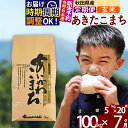 【ふるさと納税】※令和6年産 新米予約※《定期便7ヶ月》秋田県産 あきたこまち 100kg【玄米】(5kg小分け袋) 2024年産 お届け時期選べる お届け周期調整可能 隔月に調整OK お米 藤岡農産