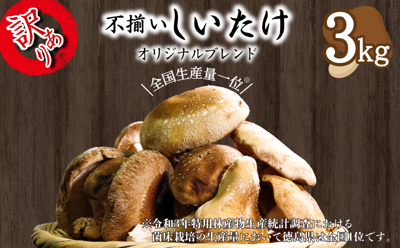 訳あり しいたけ 3kg 冷蔵 国産 徳島県 全国生産量1位 シイタケ 椎茸 生しいたけ きのこ キノコ 菌床栽培 大粒 肉厚