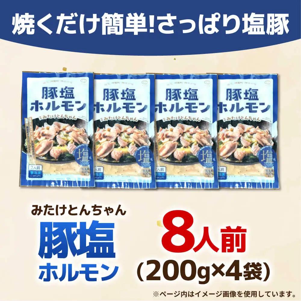 岐阜県産豚もつの鉄板焼き「元祖みたけとんちゃん」豚塩味（8人前）[AVAA039]ホルモン 塩