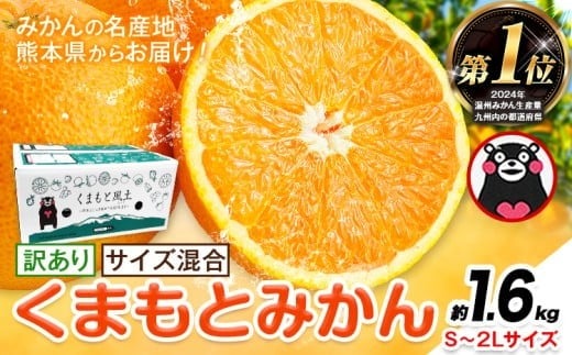 みかん 訳あり くまもとみかん 約1.6kg S-2Lサイズ サイズ混合 ご家庭用《7-14日以内に出荷予定(土日祝除く)》 訳あり みかん フルーツ サイズ混合 秋 旬 柑橘 熊本県 玉東町 熊本県産 玉東町産含む