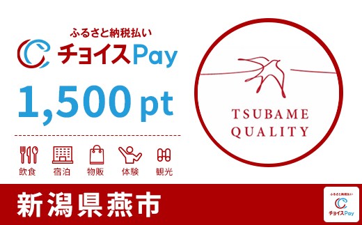 
            燕市チョイスPay 1,500pt【会員限定のお礼の品】
          