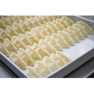 ふるさと納税 那須塩原市 那須餃子100個入・もつ煮 1,400gセット |  | 02