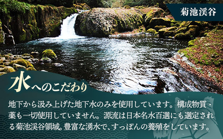 美味益気寿すっぽんスープ190g【60缶】 スッポン 化学調味料不使用 使いやすい ストック 岩手県 岩手町 イワタニ