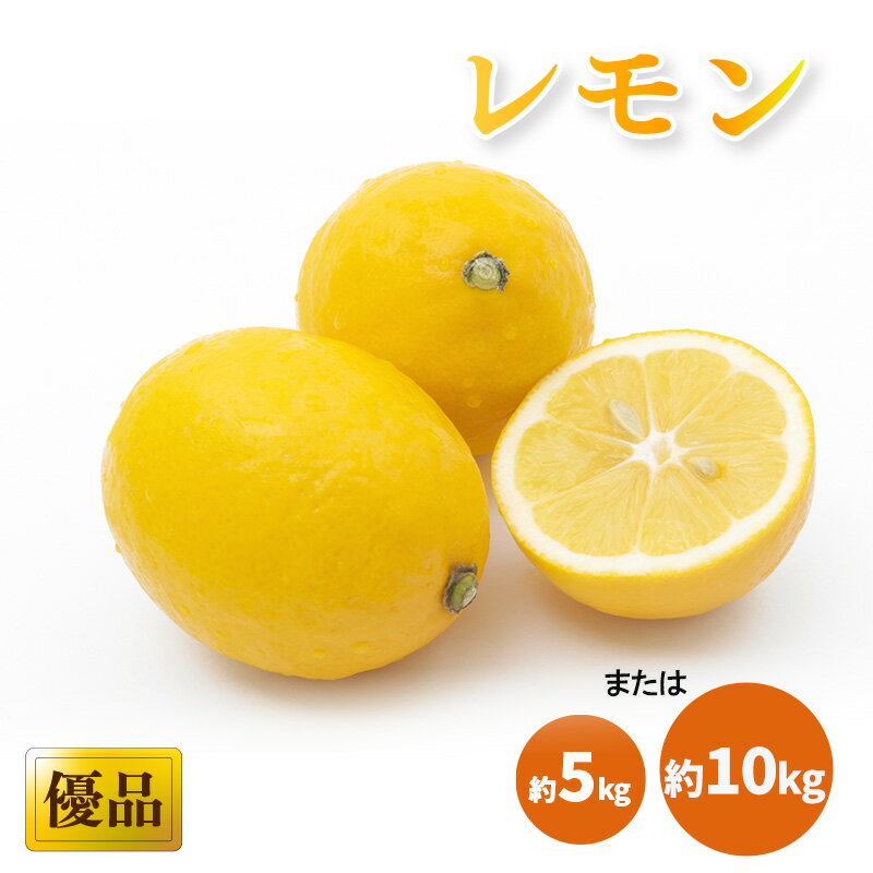 【ふるさと納税】 【2025年3月中旬頃から発送】 レモン 優品・家庭用 約5kg または 10kg ｜ 檸檬 れもん すっぱい 酸っぱい 酸味 数量限定 期間限定 レモン 愛媛県産 減農薬 有機肥料 甘み 香り 柑橘 松山市 レモン 中島 レモン 有機栽培 レモン 新鮮 ココオ Koko'o
